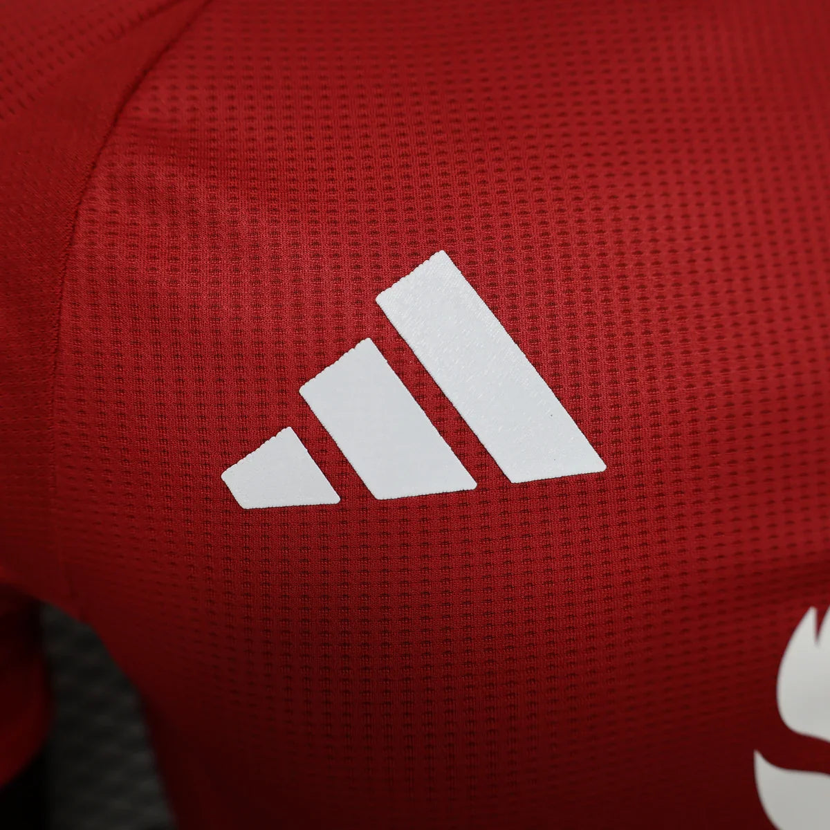 Manchester United 24-25 Home | Player Version